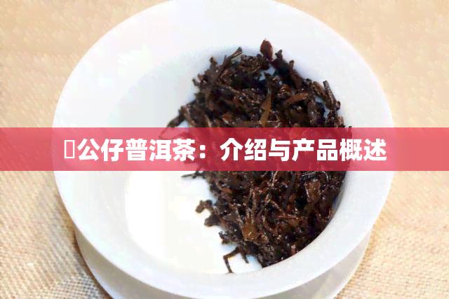 孖公仔普洱茶：介绍与产品概述