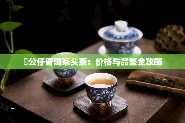 孖公仔普洱茶头茶：价格与品鉴全攻略