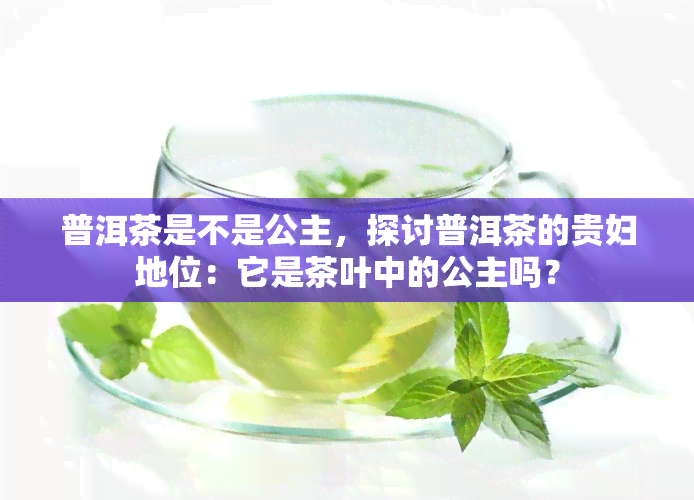 普洱茶是不是公主，探讨普洱茶的贵妇地位：它是茶叶中的公主吗？