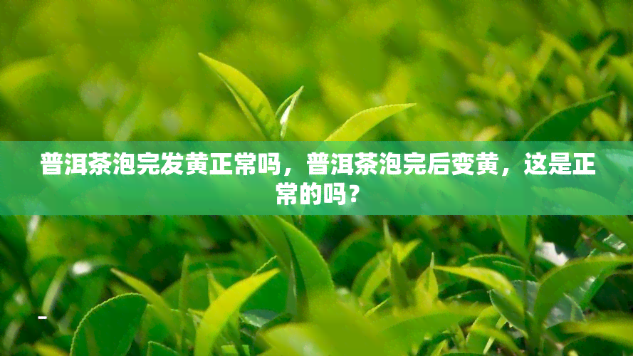 普洱茶泡完发黄正常吗，普洱茶泡完后变黄，这是正常的吗？