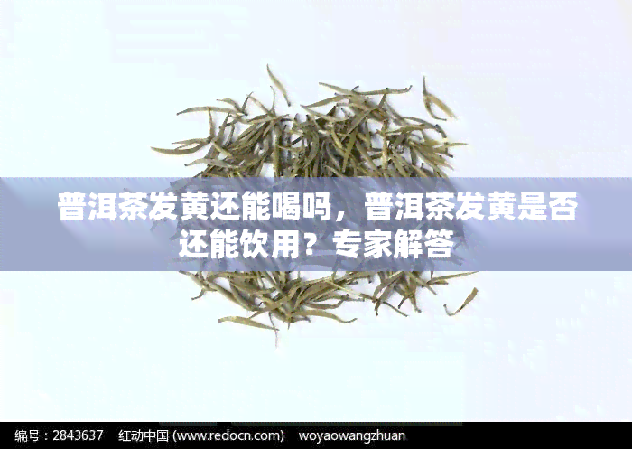 普洱茶发黄还能喝吗，普洱茶发黄是否还能饮用？专家解答