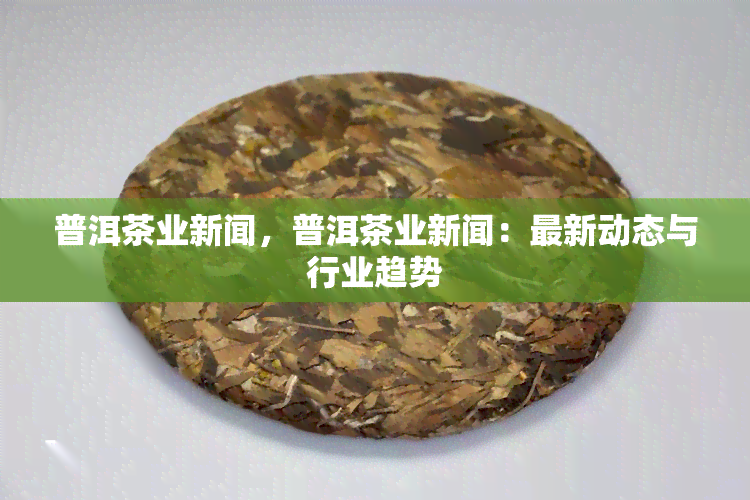 普洱茶业新闻，普洱茶业新闻：最新动态与行业趋势