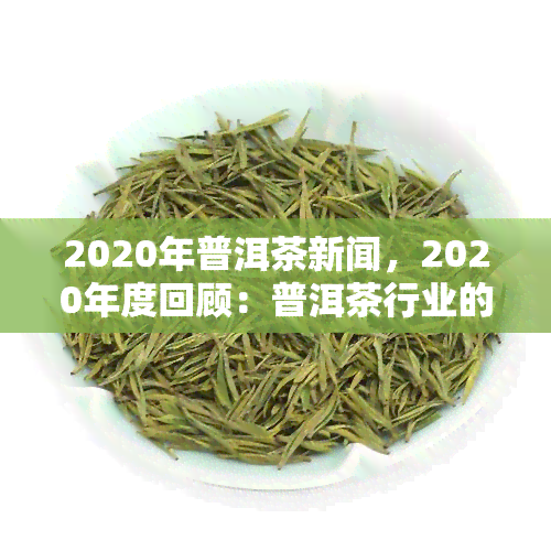 2020年普洱茶新闻，2020年度回顾：普洱茶行业的新闻热点与趋势分析