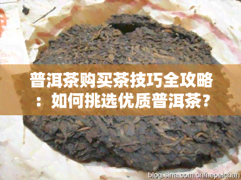 普洱茶购买茶技巧全攻略：如何挑选优质普洱茶？