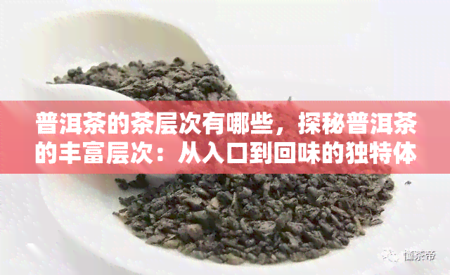 普洱茶的茶层次有哪些，探秘普洱茶的丰富层次：从入口到回味的独特体验