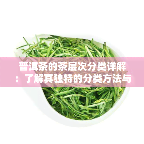 普洱茶的茶层次分类详解：了解其独特的分类方法与特点