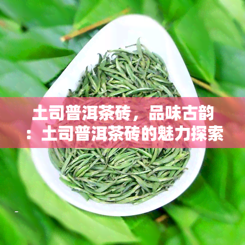 土司普洱茶砖，品味古韵：土司普洱茶砖的魅力探索