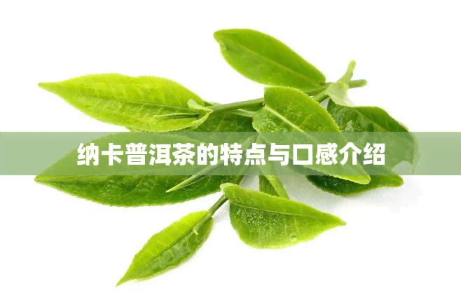 纳卡普洱茶的特点与口感介绍