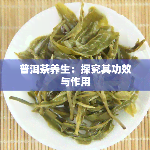 普洱茶养生：探究其功效与作用