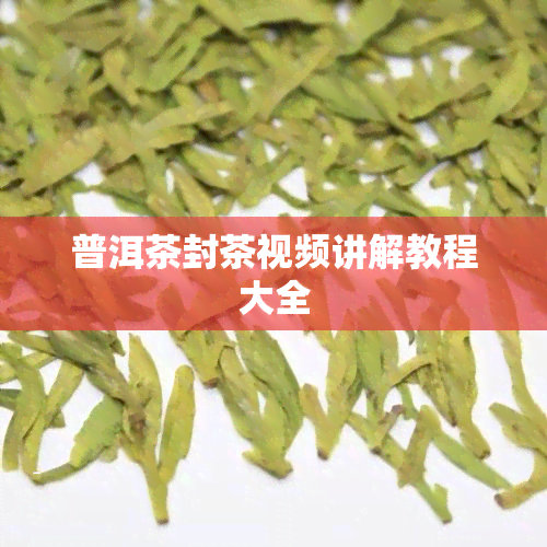 普洱茶封茶视频讲解教程大全