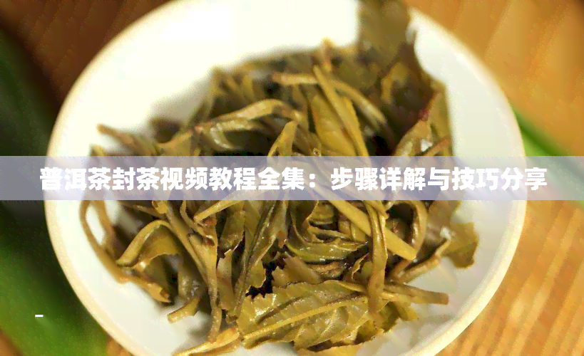 普洱茶封茶视频教程全集：步骤详解与技巧分享