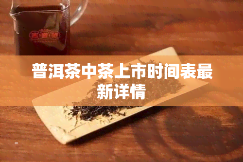 普洱茶中茶上市时间表最新详情