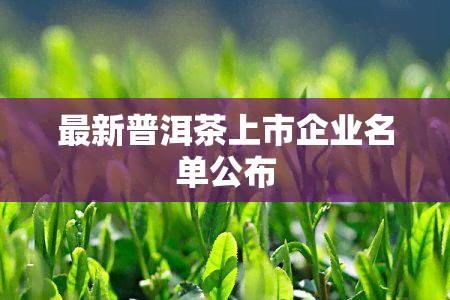 最新普洱茶上市企业名单公布