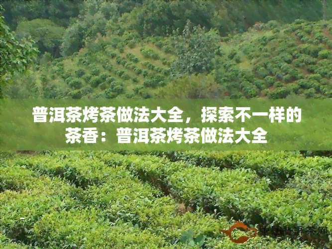 普洱茶烤茶做法大全，探索不一样的茶香：普洱茶烤茶做法大全