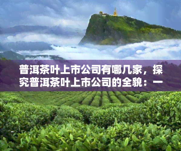 普洱茶叶上市公司有哪几家，探究普洱茶叶上市公司的全貌：一文了解行业领军者