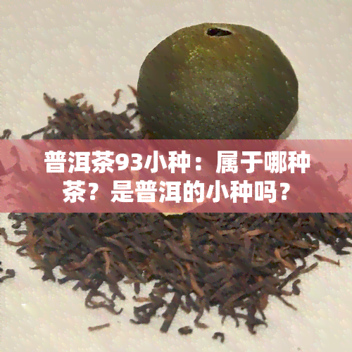 普洱茶93小种：属于哪种茶？是普洱的小种吗？