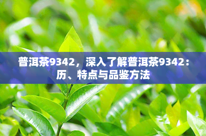 普洱茶9342，深入了解普洱茶9342：历、特点与品鉴方法