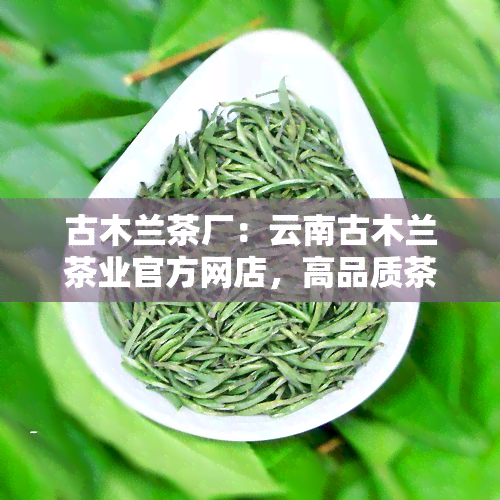 古木兰茶厂：云南古木兰茶业官方网店，高品质茶叶在线购买