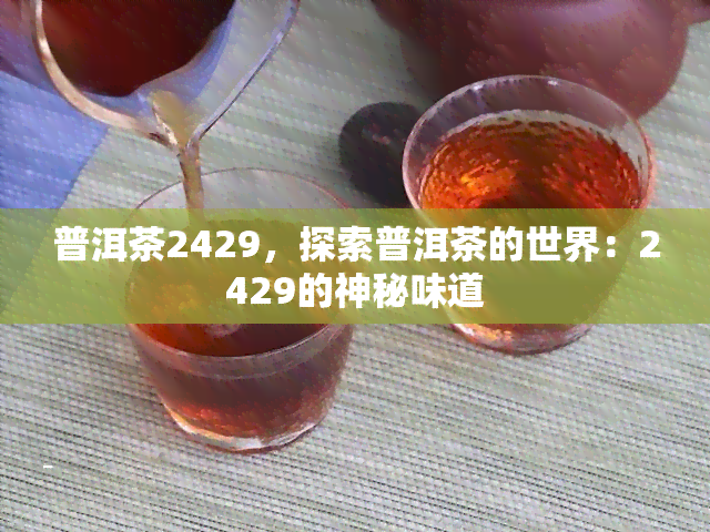 普洱茶2429，探索普洱茶的世界：2429的神秘味道