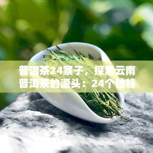 普洱茶24寨子，探索云南普洱茶的源头：24个独特寨子的发现之旅