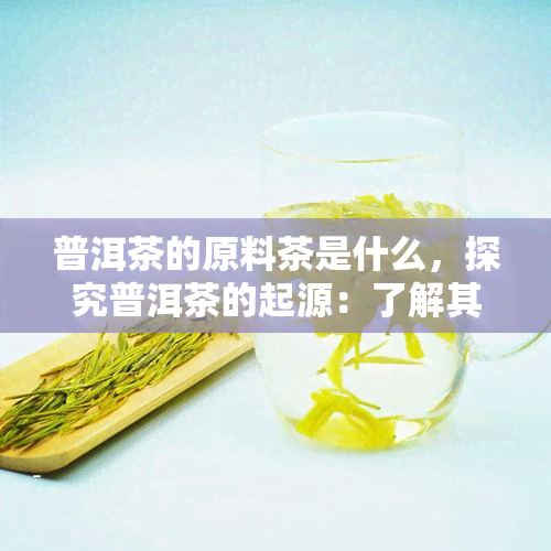 普洱茶的原料茶是什么，探究普洱茶的起源：了解其原料茶的奥秘