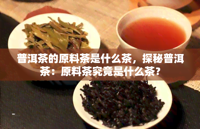 普洱茶的原料茶是什么茶，探秘普洱茶：原料茶究竟是什么茶？