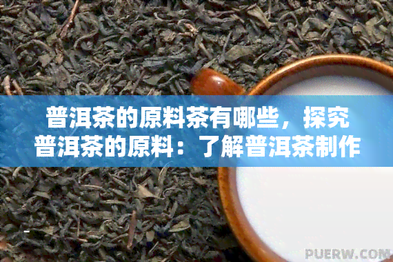 普洱茶的原料茶有哪些，探究普洱茶的原料：了解普洱茶制作的基础知识