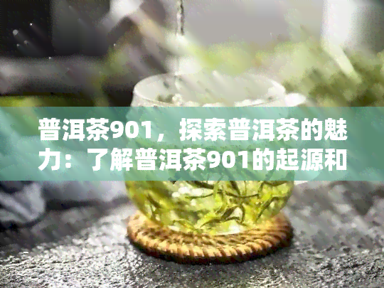 普洱茶901，探索普洱茶的魅力：了解普洱茶901的起源和特点