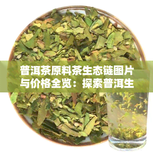 普洱茶原料茶生态链图片与价格全览：探索普洱生态茶的秘密