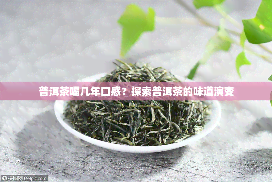 普洱茶喝几年口感？探索普洱茶的味道演变