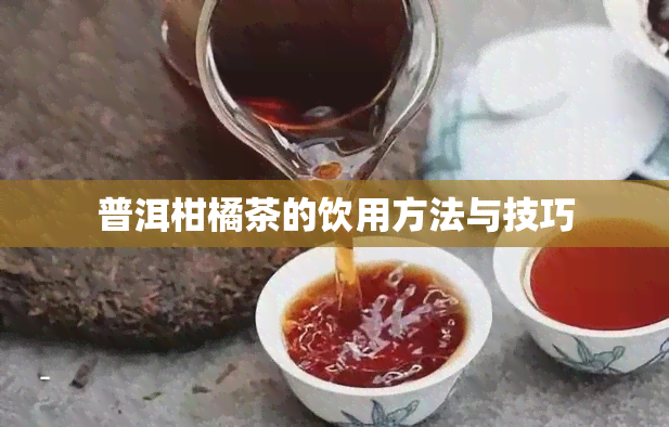 普洱柑橘茶的饮用方法与技巧