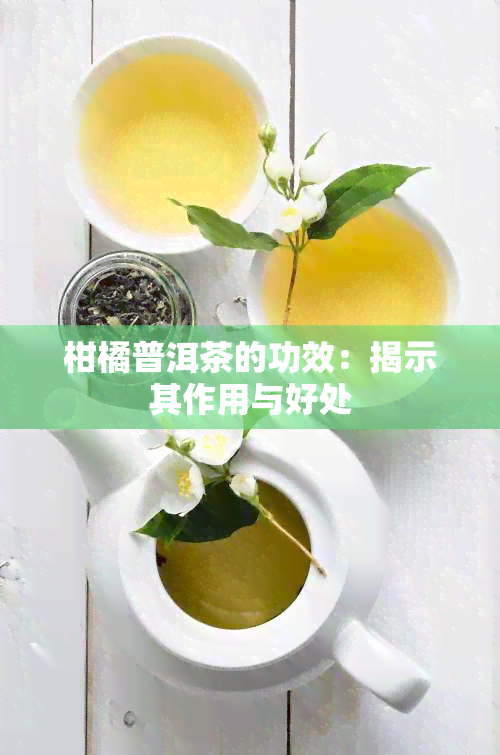 柑橘普洱茶的功效：揭示其作用与好处