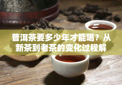 普洱茶要多少年才能喝？从新茶到老茶的变化过程解析