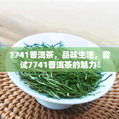 7741普洱茶，品味生活，尝试7741普洱茶的魅力！