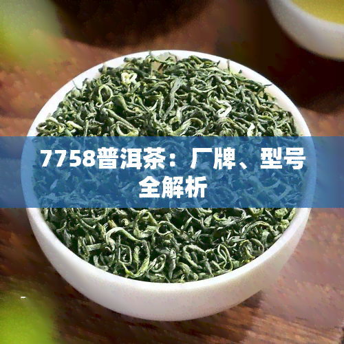 7758普洱茶：厂牌、型号全解析