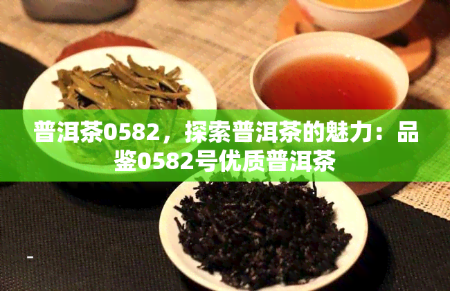 普洱茶0582，探索普洱茶的魅力：品鉴0582号优质普洱茶