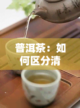 普洱茶：如何区分清明茶与其他种类？