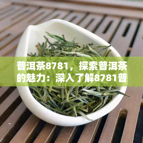 普洱茶8781，探索普洱茶的魅力：深入了解8781普洱茶的特点和口感