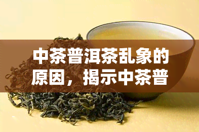 中茶普洱茶乱象的原因，揭示中茶普洱茶市场乱象的深层原因