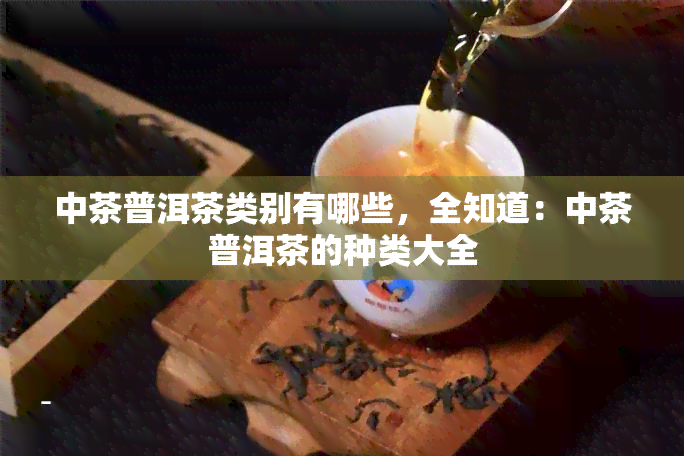 中茶普洱茶类别有哪些，全知道：中茶普洱茶的种类大全