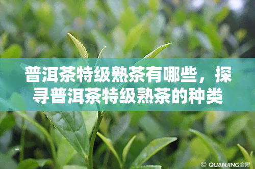 普洱茶特级熟茶有哪些，探寻普洱茶特级熟茶的种类与特点