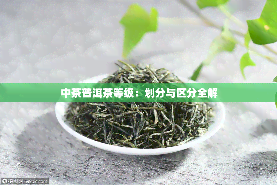 中茶普洱茶等级：划分与区分全解