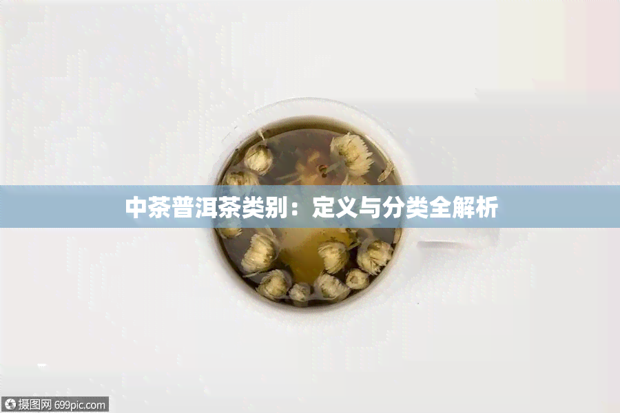 中茶普洱茶类别：定义与分类全解析