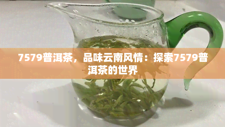 7579普洱茶，品味云南风情：探索7579普洱茶的世界