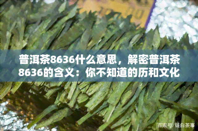 普洱茶8636什么意思，解密普洱茶8636的含义：你不知道的历和文化