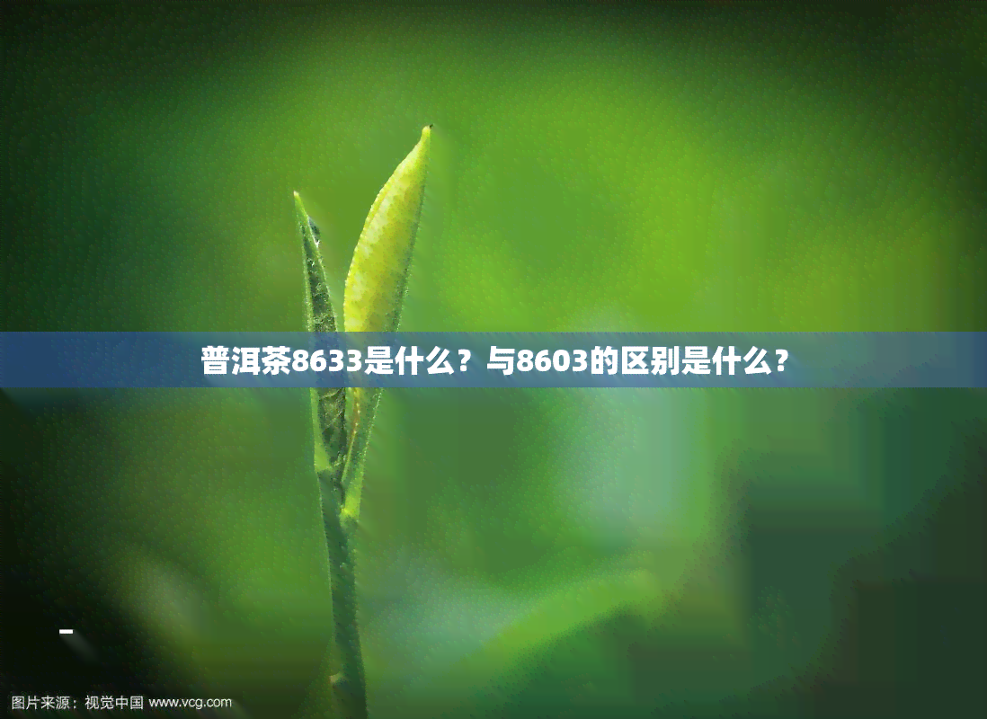 普洱茶8633是什么？与8603的区别是什么？