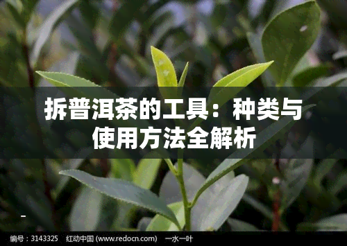 拆普洱茶的工具：种类与使用方法全解析