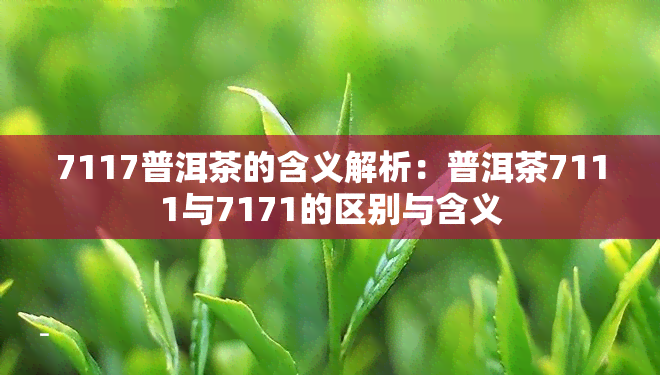 7117普洱茶的含义解析：普洱茶7111与7171的区别与含义