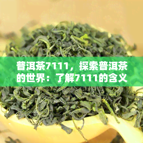 普洱茶7111，探索普洱茶的世界：了解7111的含义与特点