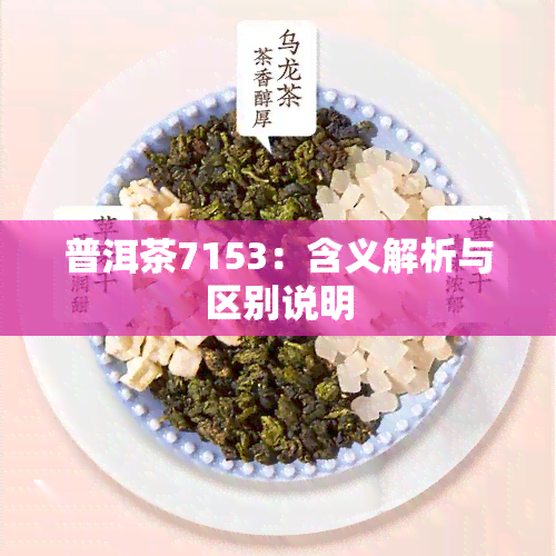 普洱茶7153：含义解析与区别说明